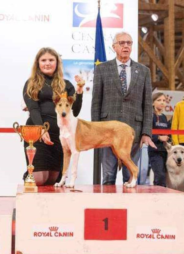 MEILLEUR PUPPY DE LA JOURNEE
LE COLLEY A POIL COURT
Un Dos Tres des Troubadours d'Hajoula
(Tornskogens Boss Orange Man X Partita des Troubadours d'Hajoula)
Prod : SYNNAEVE Martine - Prop : VEYRUNES-AGOUTIN Fleur