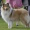 Photo de Lucy In The Sky du Clos de Sea-Wind