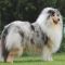 Photo de Style Blue du Clos de Sea-Wind