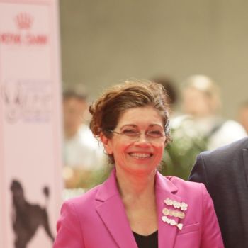 Dominique LAGROLLET, 7-comite du Club des Amis du Colley