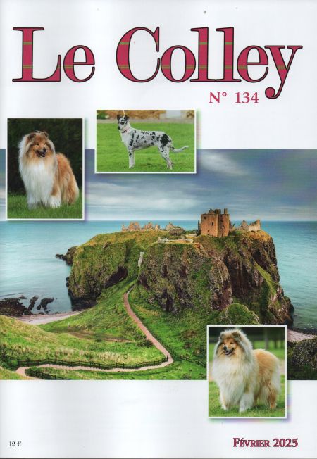 Revue du Club des Amis du Colley numero 134