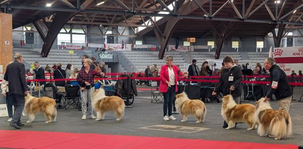 Best poil long Poitiers le 18 10 2025